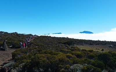 Image du projet La Réunion mon ti péï