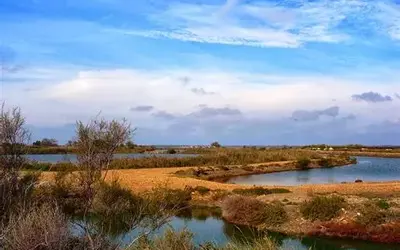 Image du projet Engagement pour l'environnement d'une classe défense