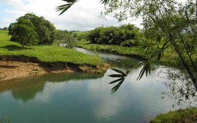 Image du projet AIRE TERRESTRE EDUCATIVE SUR LA GRANDE RIVIERE A GOYAVE