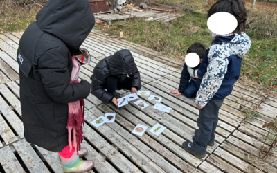 Image du projet ATE - La forêt magique - école de Chalinargues
