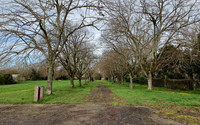 Image du projet Une ATE à Montauban au bord des berges du Tarn par l'école Centre Prévert