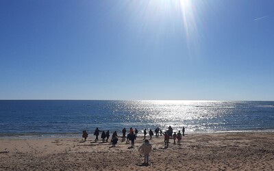 Image du projet Classe de mer à St Pierre d'Oléron