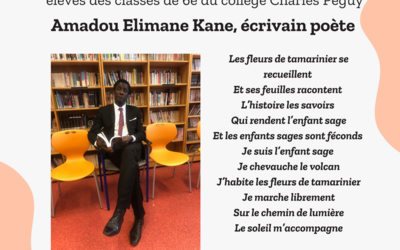 Image du projet Les élèves de l'école Lasalle et du collège Charles Péguy sur les traces des récits d'Afrique 
