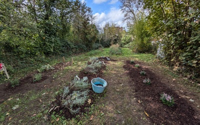 Image du projet Créer un îlot de biodiversité à Villevallier
