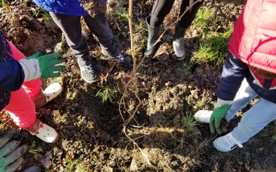 Image du projet Graines de citoyens : l'ATE avec Monein de Jardin 