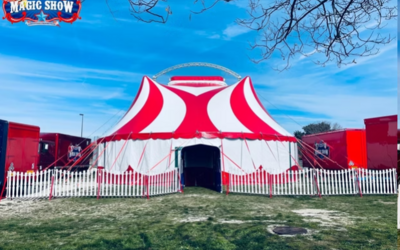 Image du projet Cirque à l'école 