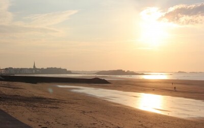 Image du projet Les cycles 2 de l'école Marcellin Berthelot découvrent l'océan !