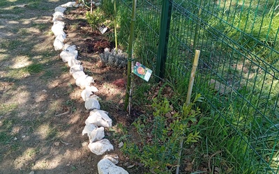 Image du projet  "Notre coin de nature" géré par les CM2 de Clarensac
