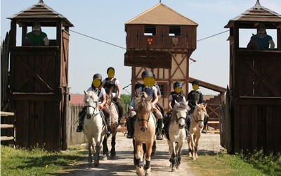 Image du projet Le cheval à travers l'art