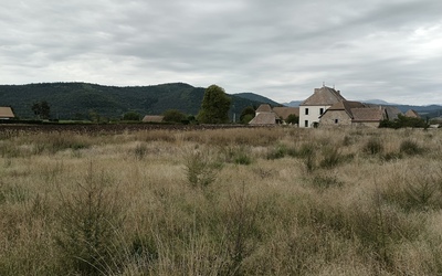 Image du projet ATE-Laboratoire d'Exploration du Monde-Saint Jean d'Hérans