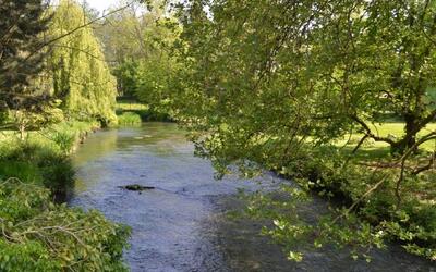 Image du projet Tous à la rivière