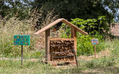 Image du projet Pérenniser l'Aire du Grand Cèdre des élèves de Gaujac