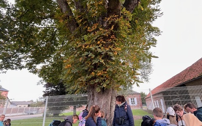 Image du projet Aire Terrestre Educative école de Vironchaux