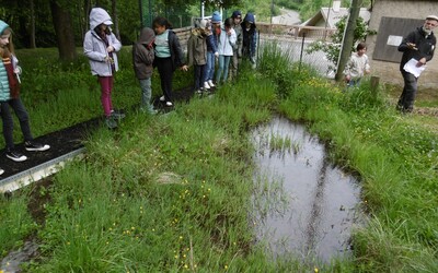Image du projet ATE L'aire terrestre éducative "Chazeaux, Fournel, Glière"