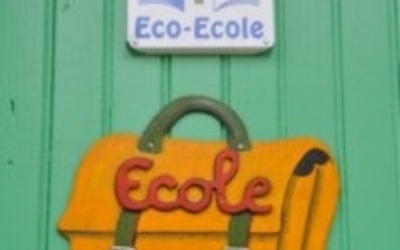 Image du projet Gestion d'une parcelle de forêt