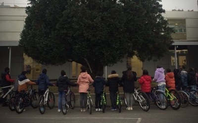 Image du projet Tous à vélos de Chenonceau à Cheverny