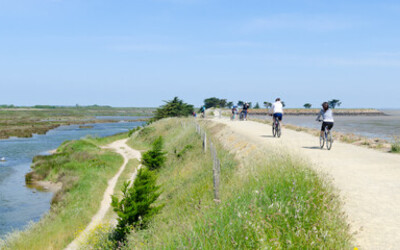 Image du projet Les CM de Noroy à Noirmoutier