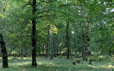 Image du projet ATE de l'Amiral Decrès (Collège de Châteauvillain-52)