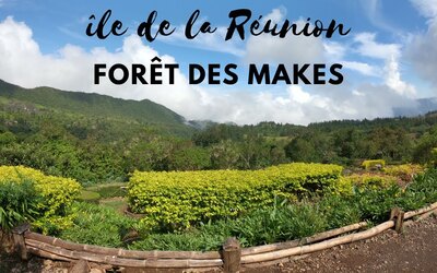 Image du projet ATE des Makes