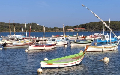 Image du projet Graines de reporters scientifiques en lien avec la fondation TARA: séjour découverte du littoral et rencontre avec des scientifiques