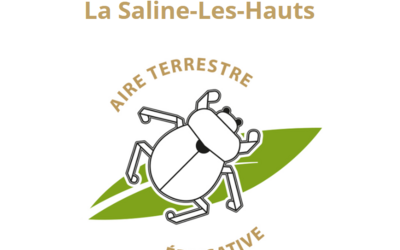 Image du projet Aire éducative du collège Célimène Gaudieux
