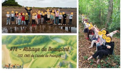 Image du projet Une aire éducative aux pieds de Beauport gérée par les CE2-CM1 de Kérity