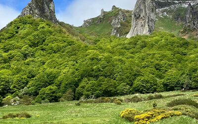 Image du projet Découverte de la moyenne montagne pour des élèves de 4e de l'Ouest de la France!