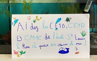 Image du projet Classe de mer à Sanary sur Mer