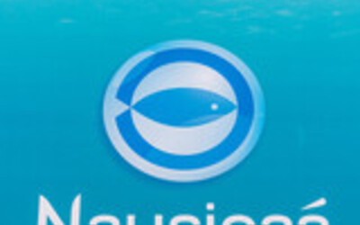 Image du projet Les GS-CP d'Aignay-le-Duc à Nausicaà