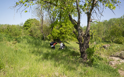 Image du projet ATE Nature et Histoire du Mont Griffard