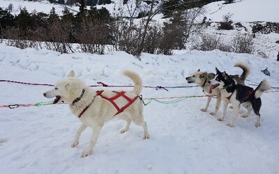 Image du projet Classe de neige CM de JLE