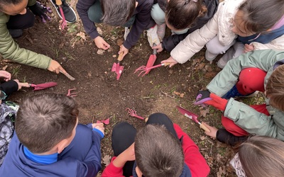 Image du projet Notre ATE au fil des saisons 