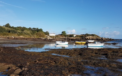 Image du projet AME du collège des Sicardières de l'Ile d'Yeu