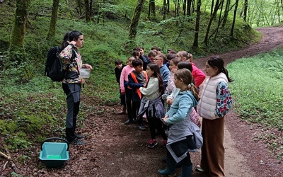 Image du projet L’ATE de Saint-Hilaire-Peyroux : la nature à portée de classe
