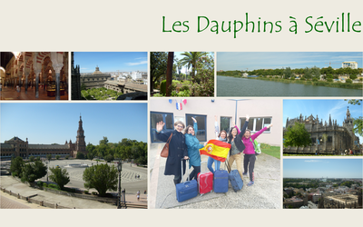 Image du projet Les Dauphins à Séville en mars 2023 !