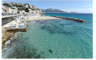 Image du projet CM2 MERMOZ : AIRE MARINE EDUCATIVE DE LA PLAGE DU PROPHETE