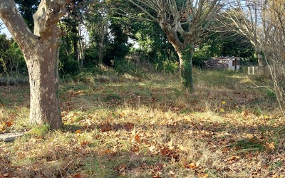 Image du projet Création d'une Aire Terrestre éducative sur Valréas