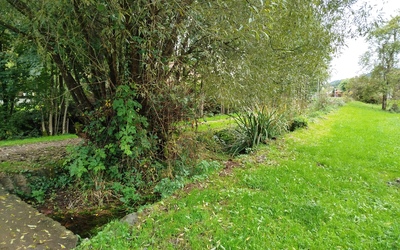 Image du projet Aire Terrestre Educative du Bouchot