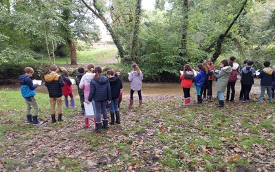 Image du projet Aire Terrestre Educative de Canéjan - RIPISYLVE 