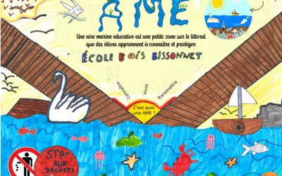 Image du projet Aire Marine Educative BOIS BISSONNET