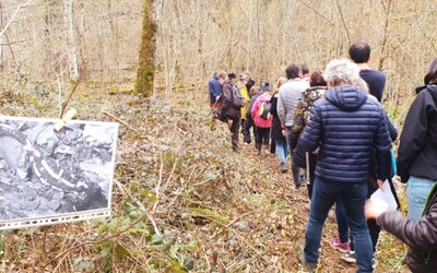 Image du projet Ate école d'Auberive