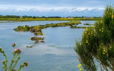 Image du projet Les élèves de l'école de Ménesplet découvrent l’Île de Ré