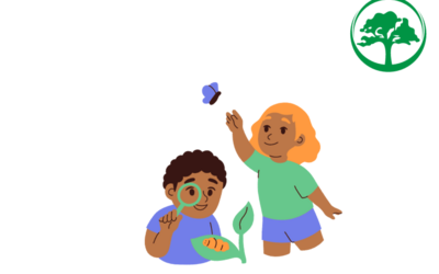 Image du projet ATE de l'école primaire de Tournon d'Agenais
