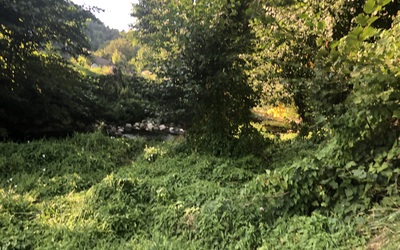 Image du projet ATE Au fil de la rivière, l'école Guilhem Ademar s'engage en faveur de la biodiversité