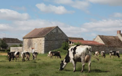 Image du projet Classe découverte à la ferme pour les GS