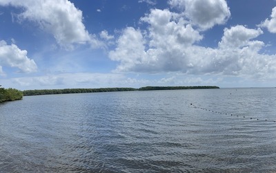 Image du projet AME - Préservons la baie de BLACHON !