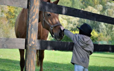 Image du projet Classe découverte dans les Landes