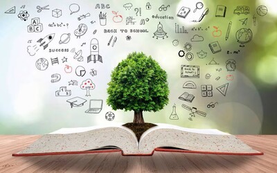 Image du projet VOYAGE A PARIS POUR LES LAUREATS D'UN TOURNOI DE CULTURE GENERALE