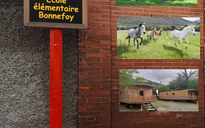 Image du projet Nos petits citadins à la campagne