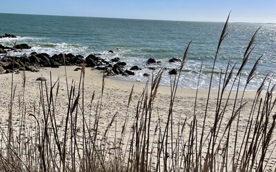 Image du projet Classe de mer à Quiberon